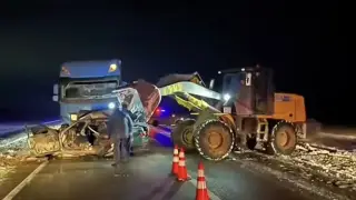 Жүргізуші қарсы жолаққа шығып кетті: екі адам қаза тапты