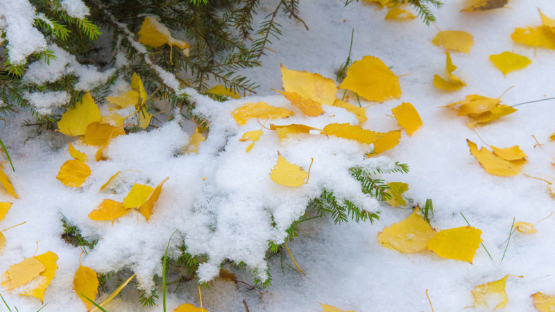 Фото:depositphotos.com