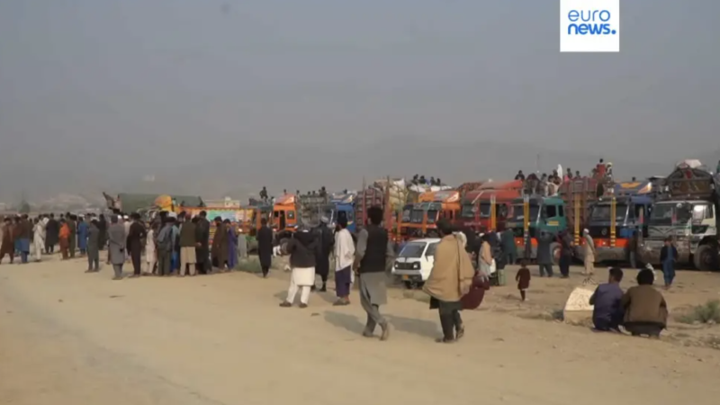 Видео кадры