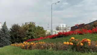 Алматылықтарға жер сілкінісі туралы хабарлама келді