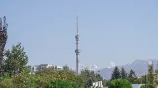 Алматыдағы жер сілкінісі: ТЖМ мән-жайды айтты