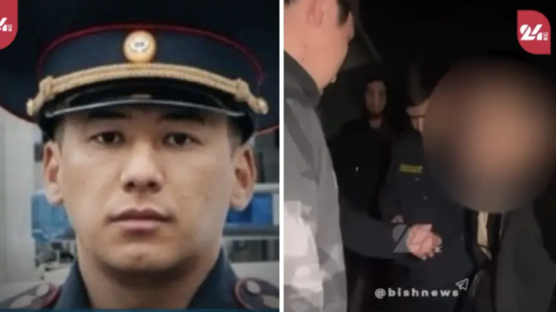 24kg видео кадры