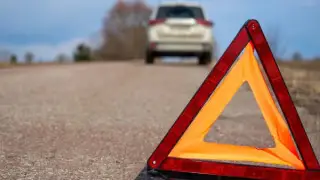 Маңғыстау облысында жеңіл көлік жылқымен соқтығысып, екі адам қаза тапты