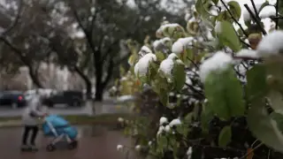 Жел, жаңбыр мен қар: 1 қарашада ауа райы қандай болады?