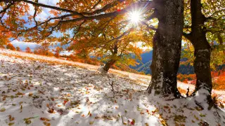 Қар және +25 градусқа дейін жылы: қарашада ауа райы қандай болады?