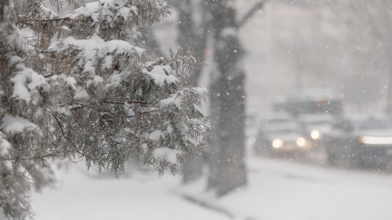Фото ©️ Tengrinews.kz / Алихан Сариев