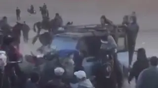 Қызылорда облысында көкпарға шыққан аттарды көлік қағып кеткен (видео)