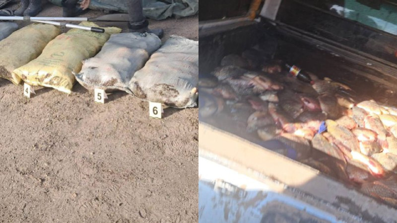 Фото: Polisia.kz