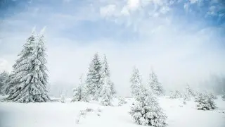 Қар және 15 градусқа дейін жылы: алдағы күндерге арналған ауа райы болжамы