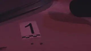 ІІМ ДНҚ-технологияларының көмегімен 2016 жылғы қылмысты ашты