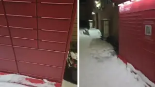 Екібастұзда біреулер мысықты поштоматтың ұяшығына қамап кеткен