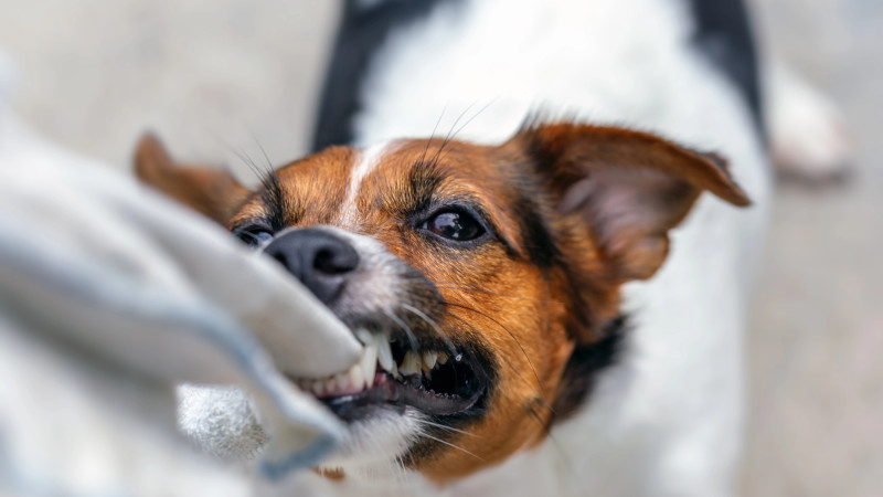 Фото:depositphotos.com