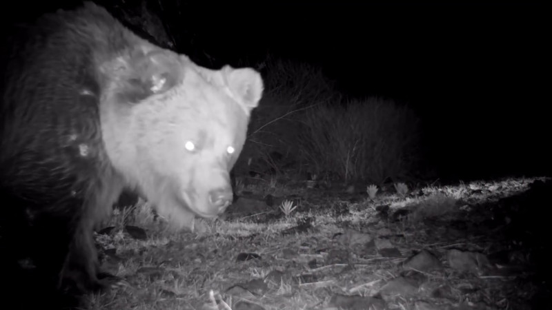 видео кадры