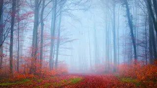 Тұман және қар: Астана мен Алматыда ауа райы қандай болады?