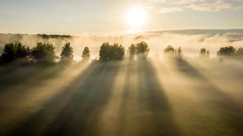 Фото:depositphotos.com