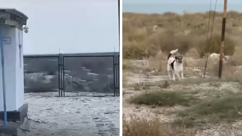 Видео кадры