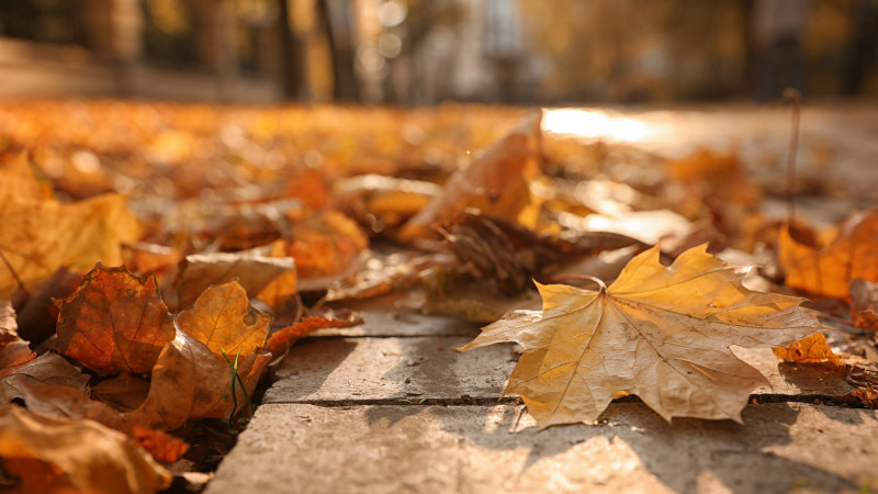 Фото:depositphotos.com