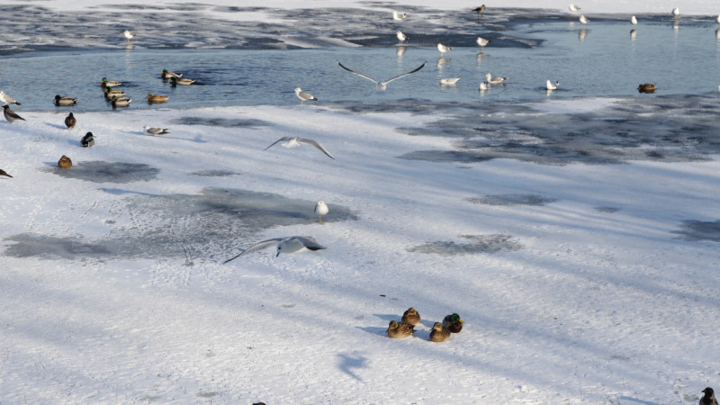 Фото:depositphotos.com