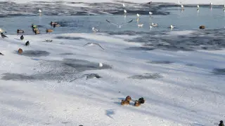 Қазақстанда алдағы күндері ауа райы қандай болады?