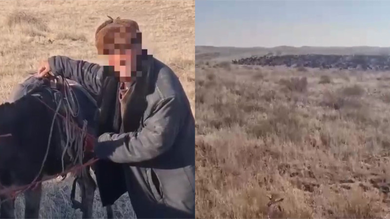 видео кадры