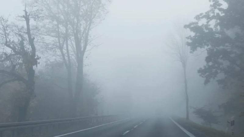 Фото:depositphotos.com