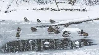 Қазақстанда қар жауып, аяз түседі