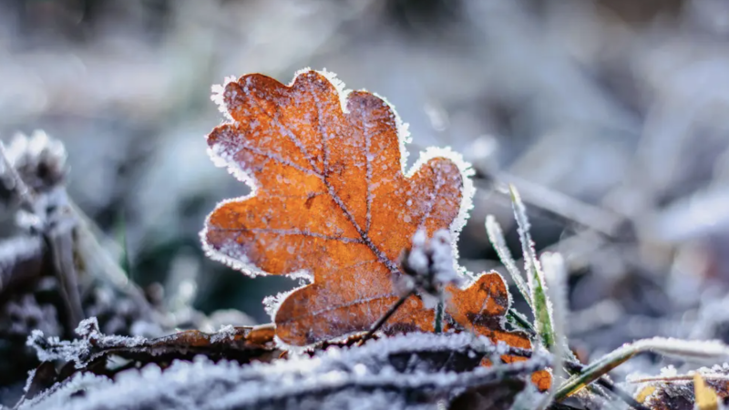 Фото:depositphotos.com