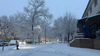Алматыда қалың қар жауды