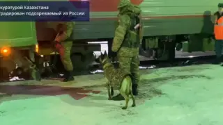 Павлодарда кәсіпкерді 22 рет пышақтап өлтірді деген күдікті Ресейден ұсталды