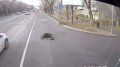 Алматыда автобус жүргізушісі телефонға қараймын деп қызды қағып кеткен