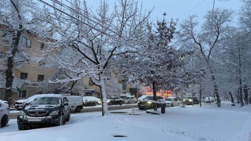 Фото ©️ Tengrinews.kz