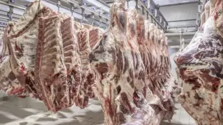 Қазақстанда сиыр етін экспорттауға шектеу қойылды: министр себебін түсіндірді