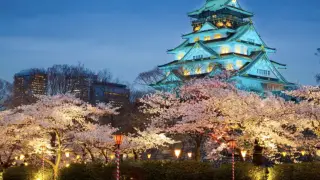 Тоқaев Жапониямен визалық рәсімдерді жеңілдету туралы пікір білдірді