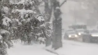 Бұрқасын, қар, көктайғақ: 28 желтоқсанда ауа райы қандай болады?