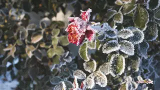 Қазақстанда қатты аяз болады: қаңтардағы ауа райы болжамы