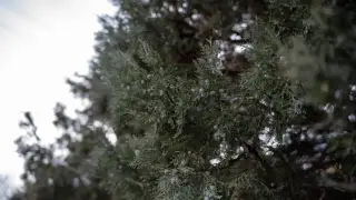 Алдағы күндері ауа райы қандай болады?