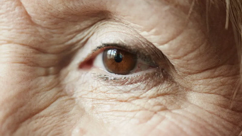 Фото:depositphotos.com