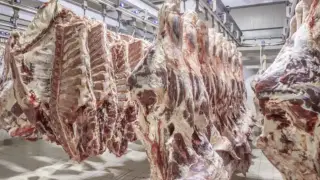 Министрлік сиыр етін экспорттауға енгізілген шектеу себебін түсіндірді