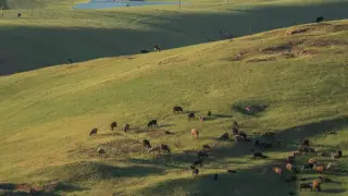 Ақмола облысында құны 82 миллион теңге болатын жер телімдері мемлекетке қайтарылды