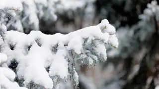 Жауын-шашын, жел және тұман: 12 қаңтарда Қазақстанда ауа райы қандай болады?