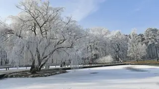 Аяз бен жел: 17 қаңтарда ауа райы қандай болады?