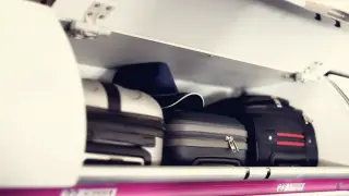 Әуекомпаниялар ұшақта құртты қалай тасымалдау керегін түсіндірді