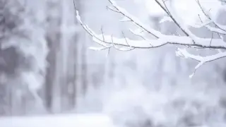 Боран соғады: 24 қаңтарда ауа райы қандай болады?