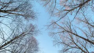 Солтүстікте аяз, оңтүстікте жылы: ауа райы болжамы