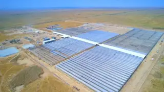 Түркістан облысында еліміздегі ең ірі өнеркәсіптік жылыжай кешені іске қосылады