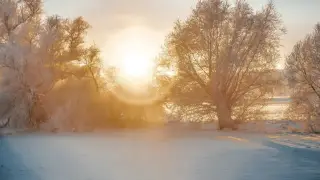 Күн жылиды: 1 ақпанда ауа райы қандай болады?