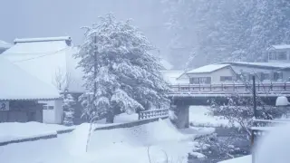 Жапонияда жауған қалың қар салдарынан 23 адам қаза тапты