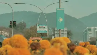 Исламабадта Тоқаевтың сапарына дайындық қалай жүріп жатыр?