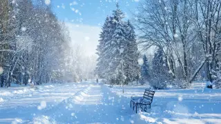 4 ақпанда ауа райы қандай болады?