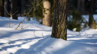 7 ақпанда ауа райы қандай болады?